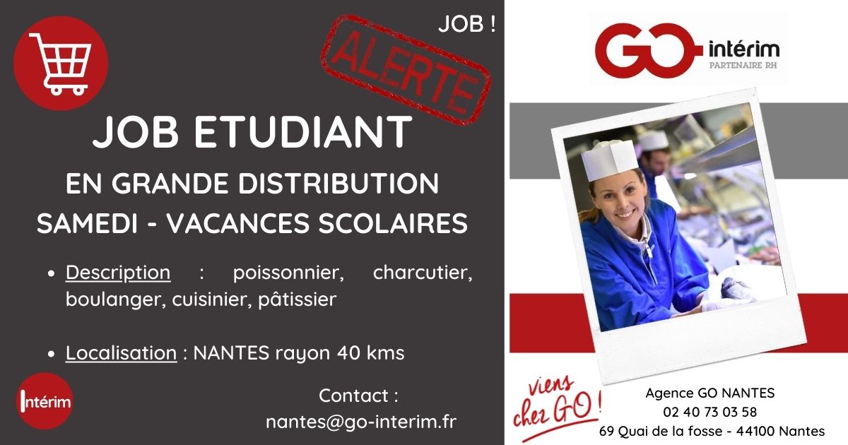 Recherche emploi interim, CDD CDI Pays de la Loire, Bretagne Go Intérim
